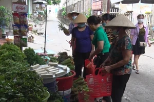 Hội viên Chi hội phụ nữ tổ 11, Hội LHPN phường Quang Trung, TP Thái Nguyên dùng làn đi chợ để góp phần hạn chế sử dụng túi nilon.