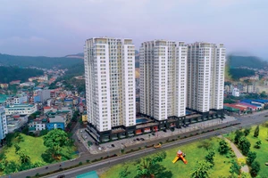 Khu chung cư New Life Tower nằm trong Khu đô thị Cái Dăm sở hữu hệ sinh thái dịch vụ đa dạng, tiện lợi.