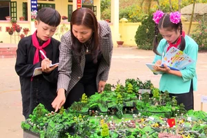 Học sinh huyện Bắc Hà (Lào Cai) có nhiều thành công trong nghiên cứu khoa học kĩ thuật.
(Ảnh minh họa)