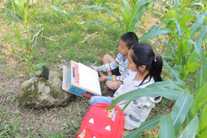 Chương trình "Sóng và máy tính cho em" mở ra cơ hội học tập lớn cho học sinh Lào Cai.