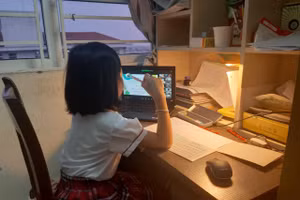 Học sinh Tiểu học Ninh Bình chuyển sang học trực tuyến. 