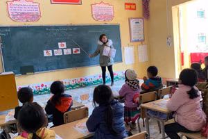 Đảm bảo số lượng, chất lượng giáo viên Tiếng Anh, Tin học trong thời gian tới cần được các địa phương, nhà trường quan tâm tháo gỡ. 