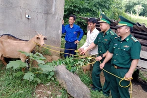 Trao dê giống cho bà con dân tộc chăm sóc, nhân giống. 