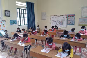 Học sinh tiểu học Ninh Bình học 1 buổi/ngày và không tổ chức bán trú tới khi có thông báo mới.
(Ảnh minh họa)