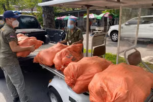 Số rau củ do GV. HS nhà trường gieo trồng được gửi tặng Khu cách ly Bệnh viện Thanh Nhàn. 