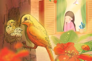 Minh họa: Vietpink