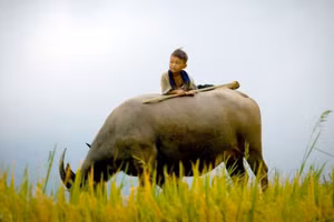 Ảnh minh họa: INT.