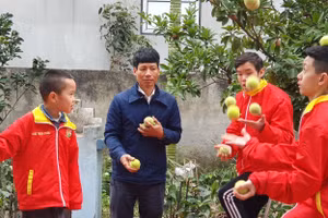 Thầy Trần Hảo luyện kỹ thuật tung hứng bóng cho các em nhỏ tự kỷ tại Trung tâm Hoa Xuyến Chi. Ảnh: Kiều Mai