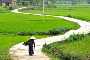 Ảnh minh họa ITN.