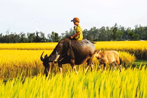 Ảnh minh họa ITN.