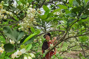 Ảnh minh họa ITN.