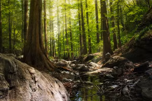 Ảnh minh họa: ITN