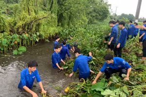 Đoàn viên xã Tùng Ảnh ra quân làm sạch đẹp thôn xóm.