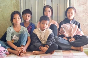 5 chị em Y Cương nương tựa nhau sống qua ngày.