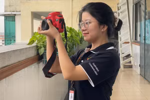 Nguyễn Ngọc Như Ý, sinh viên năm nhất ngành Báo chí (hệ chất lượng cao), Trường Đại học Khoa học Xã hội và Nhân văn (Đại học Quốc gia TPHCM). Ảnh: NVCC