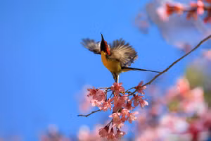 Ảnh minh họa: ITN