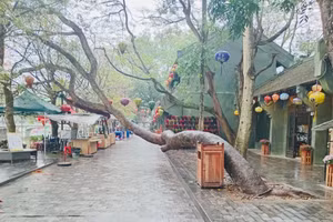 Truyện ký: 'Tất cả thế giới là một sân khấu!' 