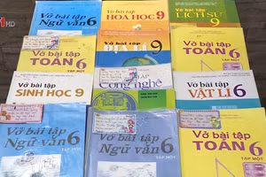 Ảnh minh hoạ - IT