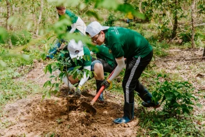 Cây trồng là những loại cây sẽ cho gỗ quý bản địa và cây làm thức ăn cho động vật hoang dã.