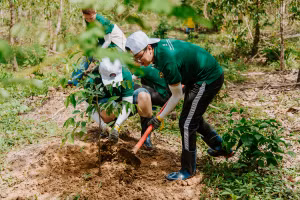 Cây trồng là những loại cây sẽ cho gỗ quý bản địa và cây làm thức ăn cho động vật hoang dã.