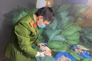 Lực lượng chức năng kiểm tra số thực phẩm.