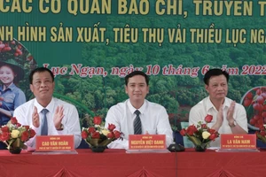 Lãnh đạo huyện Lục Ngạn thông tin về vải thiều năm 2022.