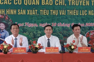 Lãnh đạo huyện Lục Ngạn thông tin về vải thiều năm 2022.