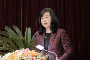 Ủy viên TƯ Đảng, Bí thư Tỉnh ủy Bắc Ninh Đào Hồng Lan phát biểu.