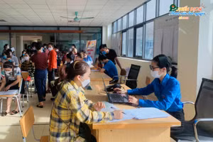 Tư vấn giới thiệu việc làm cho thanh niên, người lao động có nhu cầu việc làm. 