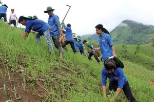 Đảm bảo an toàn tuyệt đối cho sinh viên tình nguyện