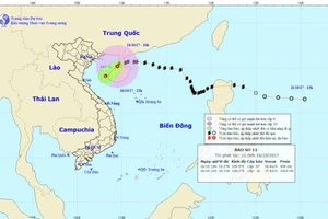 Tin bão số 11 mới nhất: Bão suy yếu, cảnh báo mưa lớn ở nhiều tỉnh