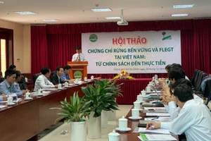 Quang cảnh Hội thảo “Chứng chỉ rừng bền vững và FLEGT tại Việt Nam: Từ chính sách đến thực tiễn”