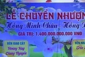 "Thổi giá" lan đột biến vào diện theo dõi của công an nhiều tỉnh