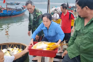Ngư dân vui mừng trúng đậm cá vàng dương.