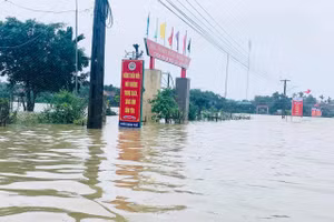 Các trường học chuẩn bị mọi phương án phòng, chống bão số 8.