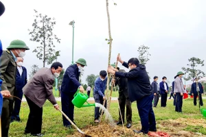 Lãnh đạo tỉnh, lãnh đạo thành phố Hà Tĩnh tham gia trông cây tại buổi lễ phát động.