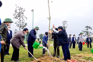 Lãnh đạo tỉnh, lãnh đạo thành phố Hà Tĩnh tham gia trông cây tại buổi lễ phát động.