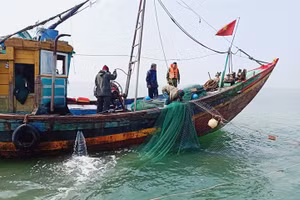 Tàu cá đánh bắt hải sản trái phép tại vùng biển Hà Tĩnh.