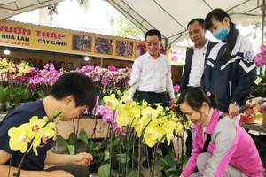 Năm nay, giá lan được khách hàng đánh giá đắt hơn năm ngoái nhưng nhiều người vẫn chọn mua lan về chơi Tết.