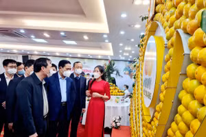 Lãnh đạo tỉnh Hà Tĩnh tại Hội nghị quảng bá thương hiệu, xúc tiến tiêu thụ cam.