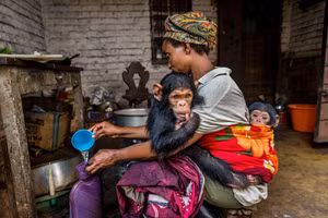 Chùm những bức ảnh vào chung kết cuộc thi động vật hoang dã 2023