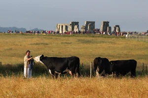 Đám đông đổ về vòng đá cổ Stonehenge đón hạ chí