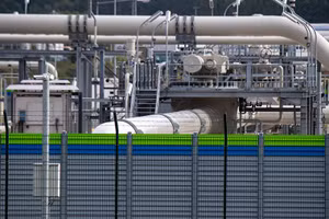 (Ảnh: Global Look Press/Stefan Sauer)