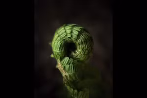 Làng nước tương ở Việt Nam đoạt giải ảnh iPhone đẹp nhất năm 2023 