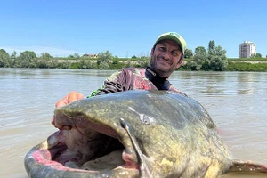 Alessandro và con cá da trơn.