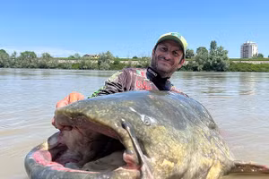 Alessandro và con cá da trơn.