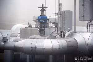 (Ảnh: Ria Novosti)