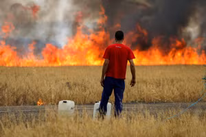 Một người chăn cừu nhìn ngọn lửa thiêu rụi cánh đồng lúa mì giữa Tabara và Losacio trong đợt nắng nóng thứ 2trong năm ở tỉnh Zamora, Tây Ban Nha, ngày 18/7/2022. (Ảnh: REUTERS/Isabel Infantes)