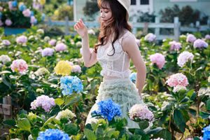 Cánh đồng hoa cẩm tú cầu đẹp ngỡ như Đà Lạt giữa Hà Nội