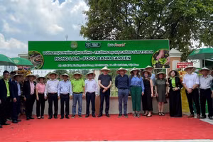 Trường Đại học Nông Lâm TPHCM khánh thành mô hình Vườn thực phẩm cộng đồng